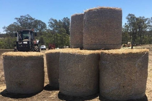 Mr Ashton said at least six bales, worth $150 each were stolen from his property this week.