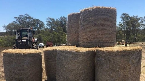 Mr Ashton said at least six bales, worth $150 each were stolen from his property this week.