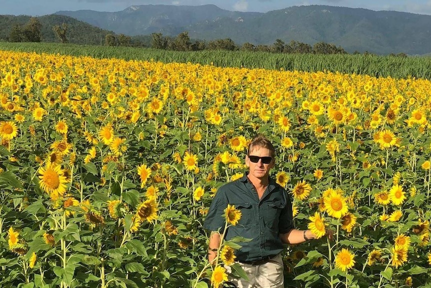 Michael Waring stands in a field of sunflowers