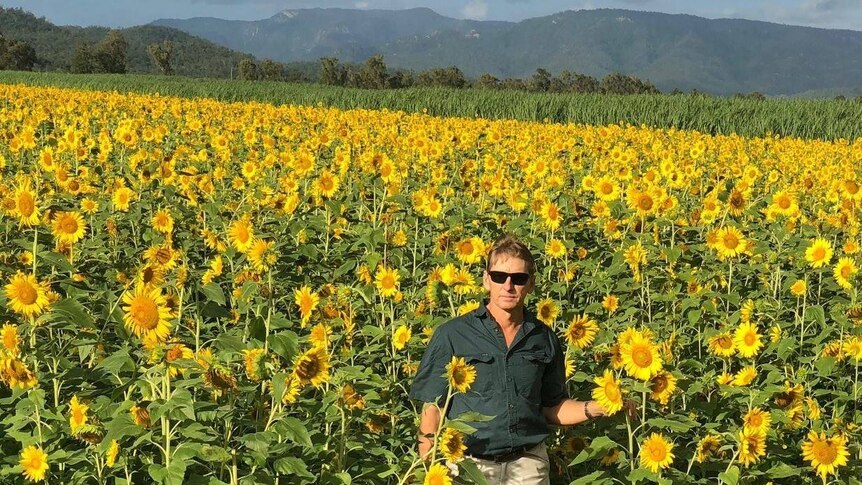 Michael Waring stands in a field of sunflowers