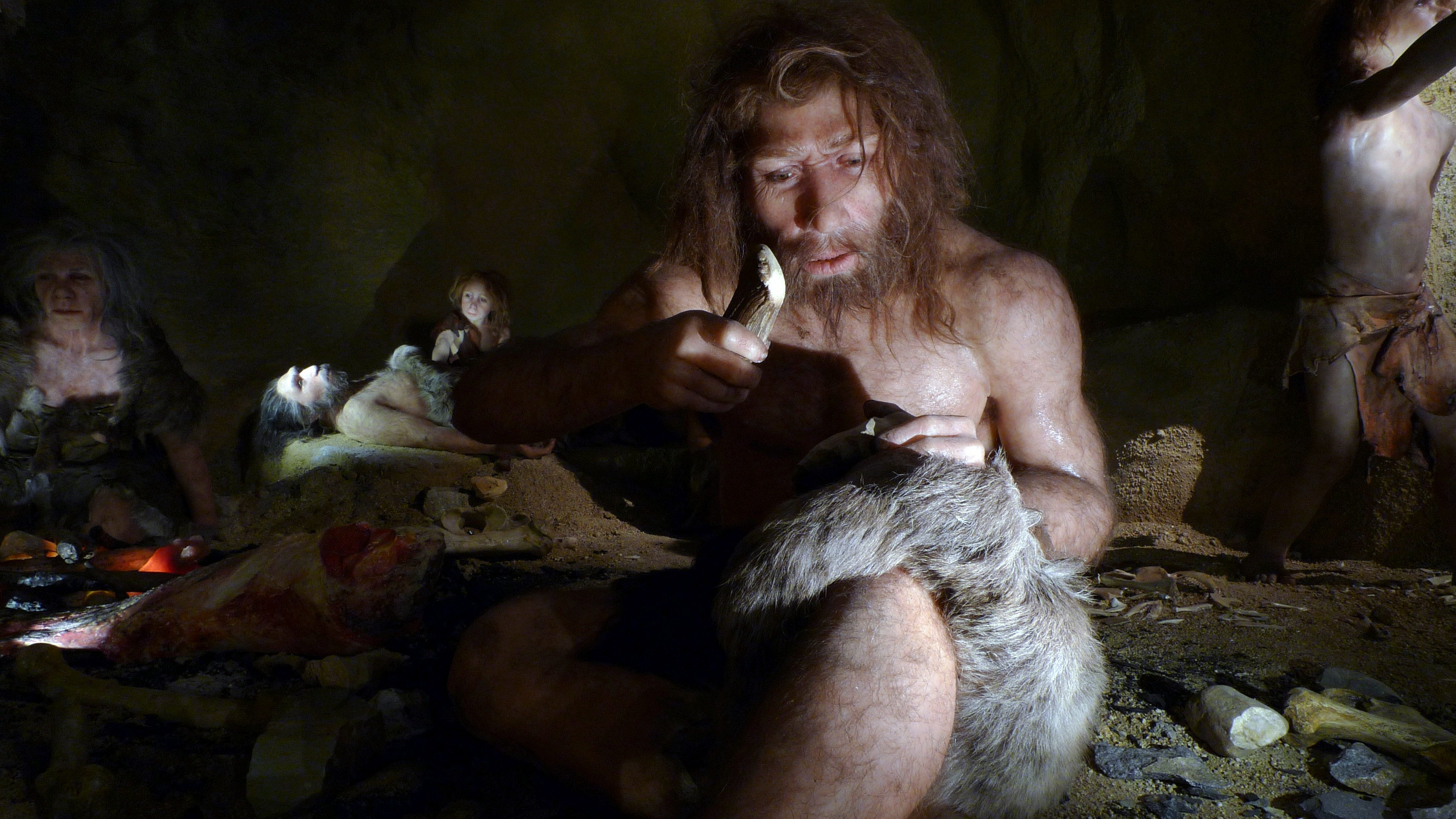 'A remarkable achievement': Neanderthals may have practised dentistry