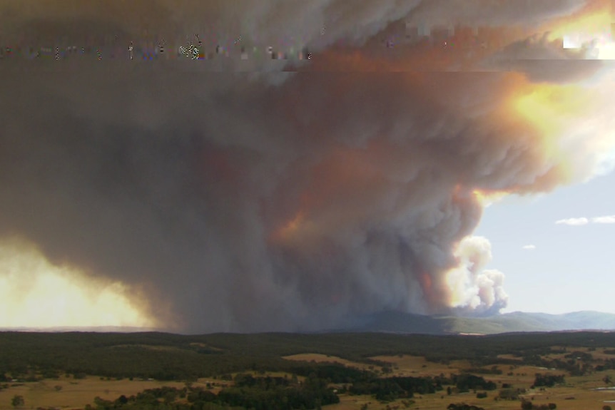 A large cloud of smoke rises in the distance