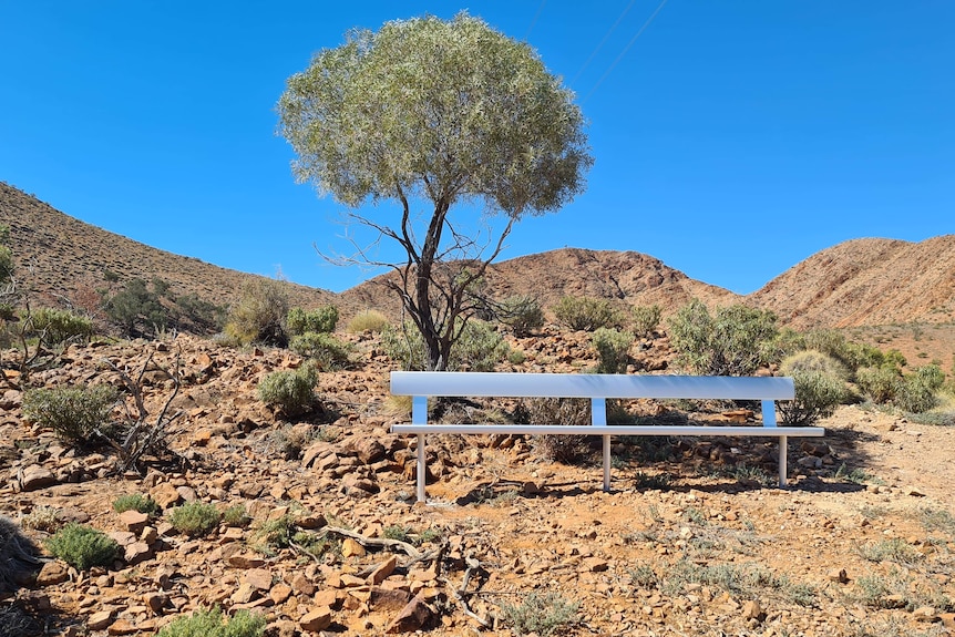 A bench along the walking trail, with a tree and rocky hill in the background.
