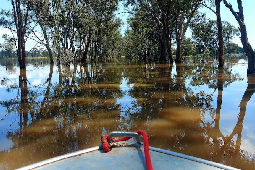 A water inundated road seen from a boat 