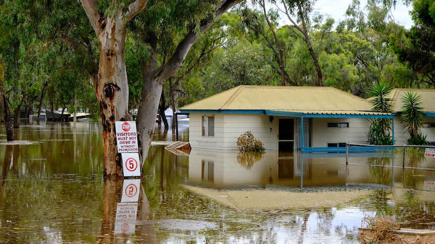 A cream-coloured caravan park reception building with a large gum tree next to it is surrounded by floodwaters
