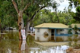 A flooded caravan park office and trees