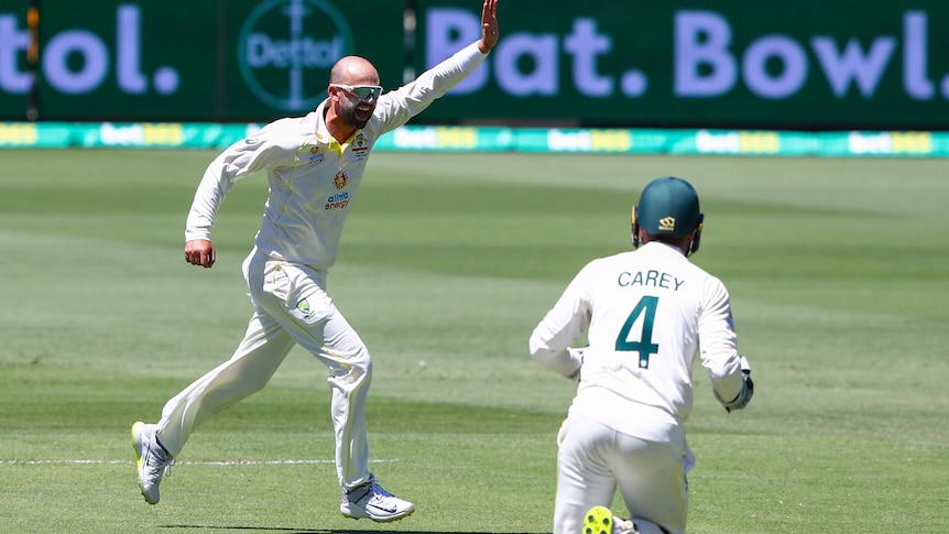 An Australian bowler runs away, his arm raised in triumph, after taking an Ashes wicket as the wicketkeeper runs toward him.