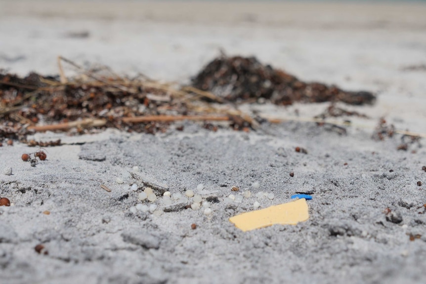 Small plastic fragments on a beach.