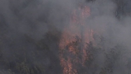 Police are investigating whether the bushfire near Coopers Creek was deliberately lit.