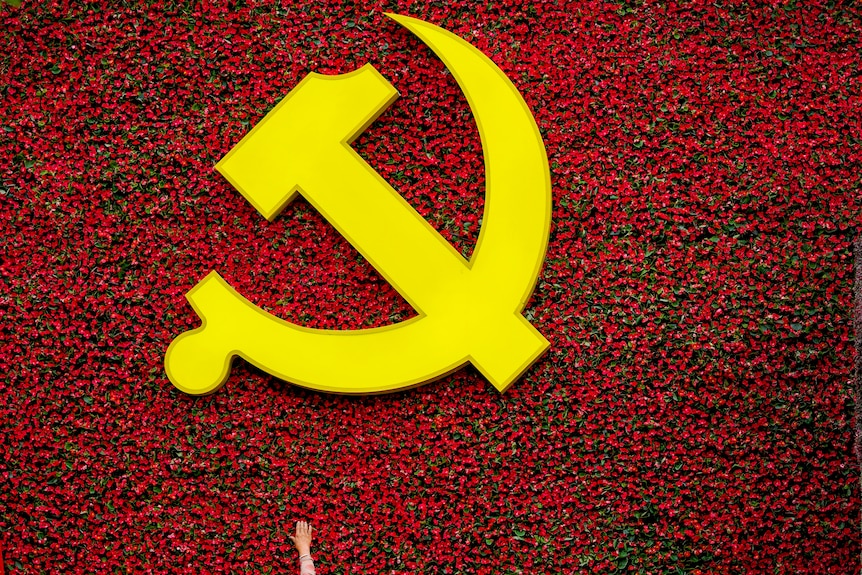 中国共产党的黄色锤子镰刀标志被一堵红花墙包围着