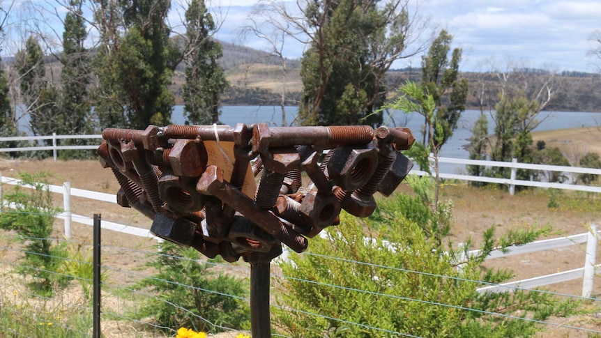 One of sculptures on display at the Dunalley fundraiser for SA bushfires