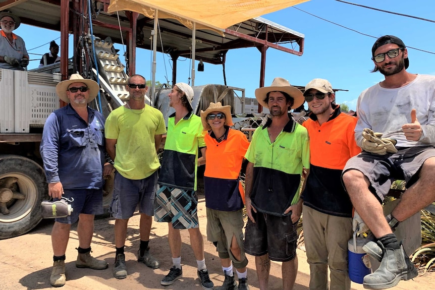 crew of pineapple pickers