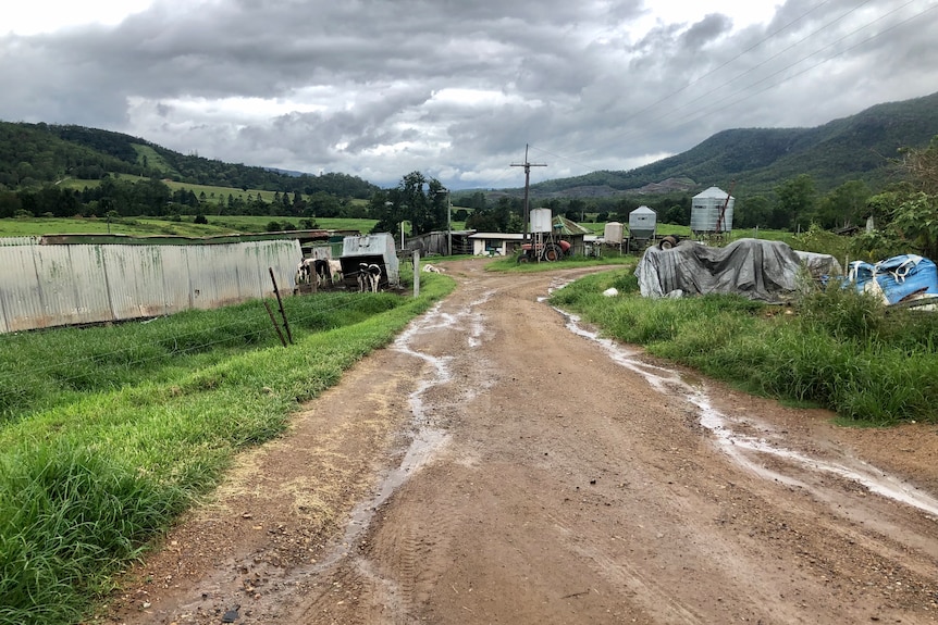 Gravel road with green grass on either side of it was dairy shed in background.