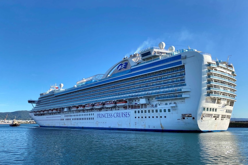 Ruby Princess berths at Port Kembla