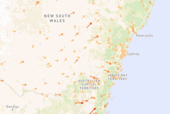 Dozens of arrows representing different direction and speed winds sit over a map of New South Wales.