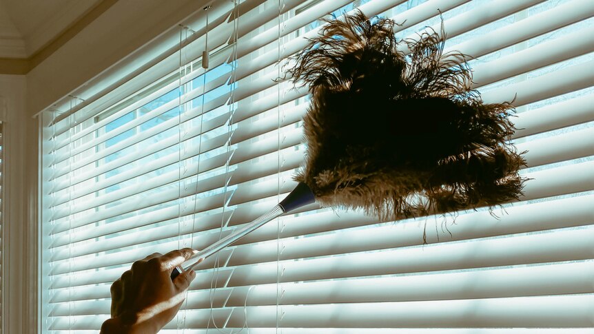 person dusting a blind with a feather duster