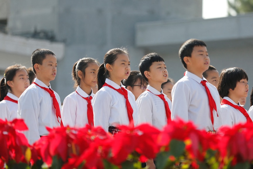 A group of young children wearing white shirts and red ties stand together behind a row of red flowers. 