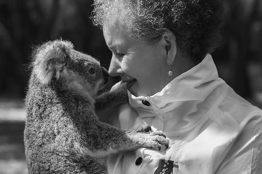 Australian Koala Foundation Chair Deborah Tabart staring nose-to-nose with a koala
