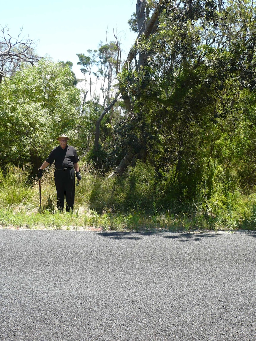 A man with a walking stick stands on a leafy block of land.