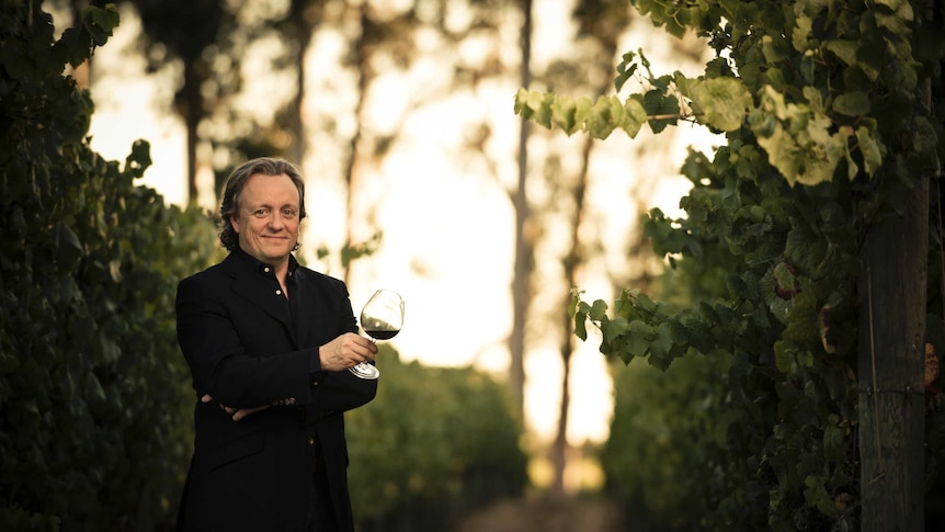 Treasury wines takes over Tasmanian vineyard