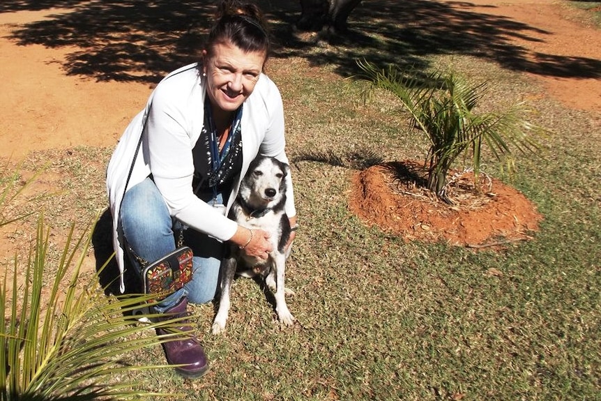 A woman crouches next to an old dog and gives him a hug.