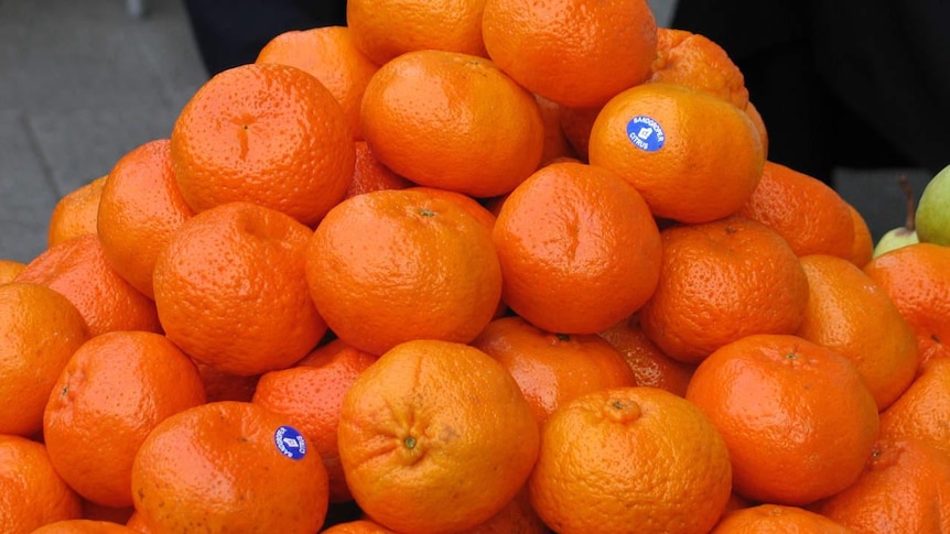 A pile of mandarins.