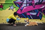 Theo Chan holds her hand in front of her dog, Space Corgi, in a laneway in Erskineville.