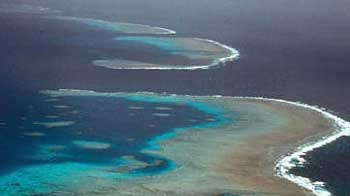 The Great Barrier Reef