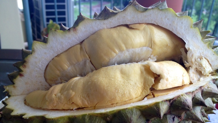 Durian