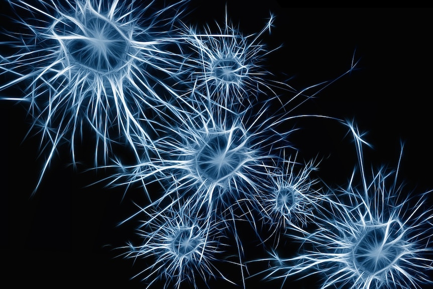 Artist's impression of neurons in the brain and the multiple connections between them