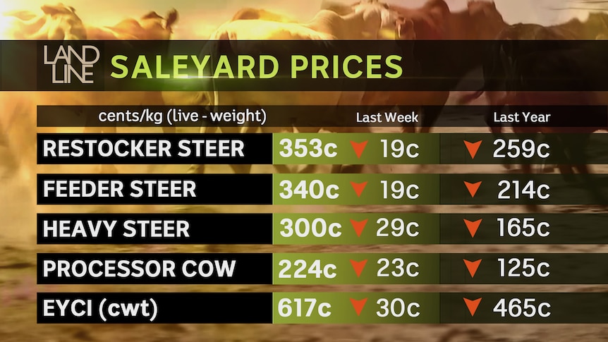 Landline cattle prices showing downward-pointing red arrows as prices fall.