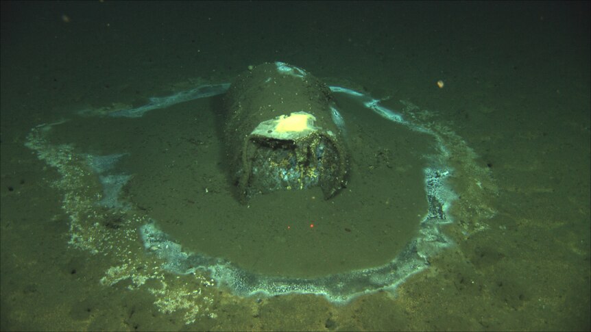 A muddy barrel with a halo of white around it on the ocean floor.