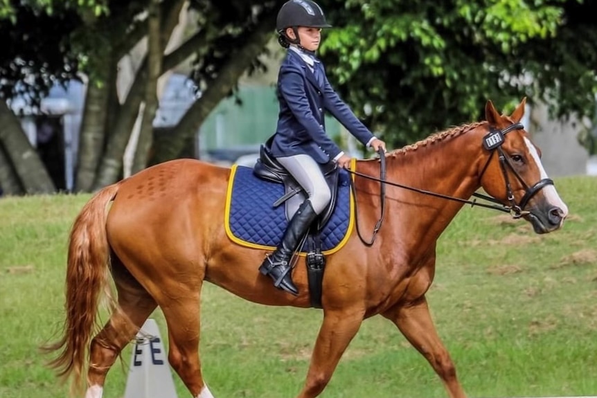 An image of lily frampton on a  chesnut horse doing dressage in a sand arena