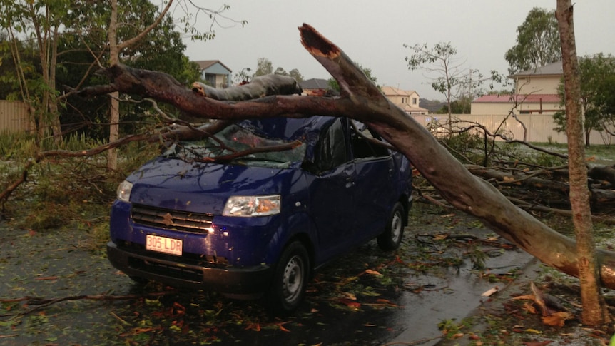 Two people suffered minor injuries when a falling tree wiped out this car at Upper Coomera this afternoon.