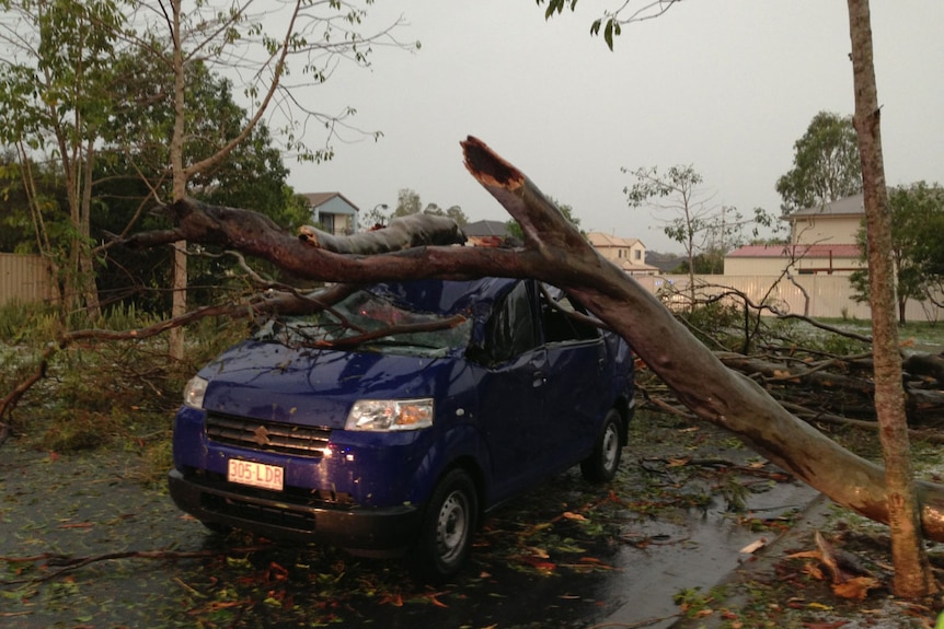 Two people suffered minor injuries when a falling tree wiped out this car at Upper Coomera this afternoon.