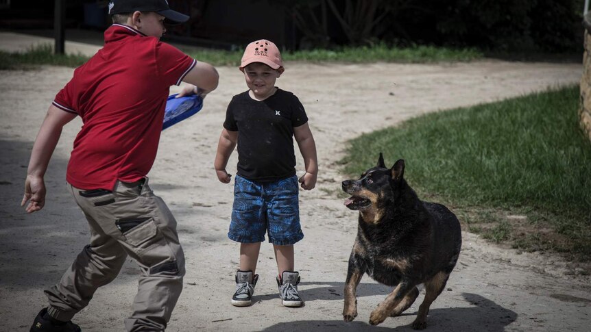 two boys playing catch with a dog