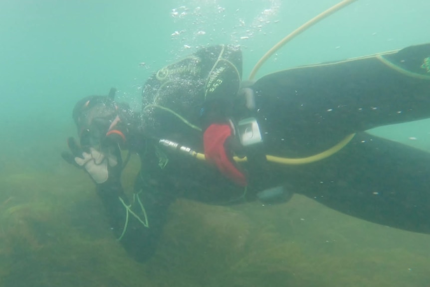 A hookah diver under the water looks towards the camera