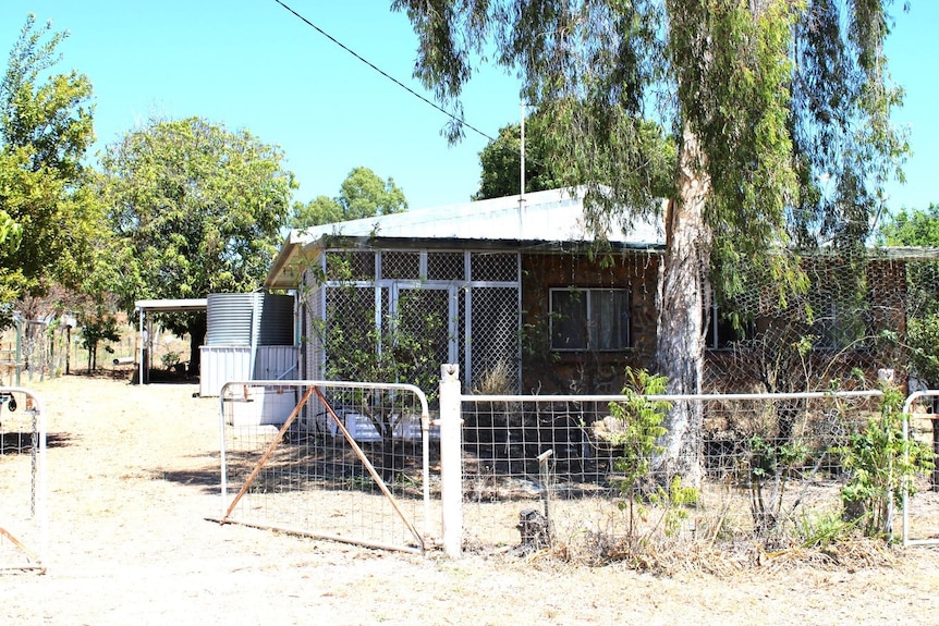 A single-storey home with a tree in the front yard and a wire fence.