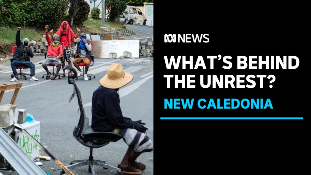 Threatened Tasmanian gum tree finds a new home - ABC News