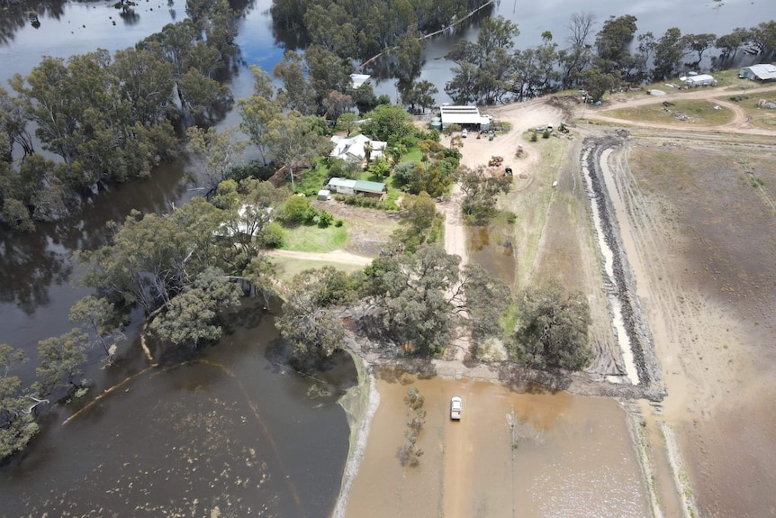 Bird's-eye view of family farm in Moulamein NSW which is surrounded on all sides by Edward River floodwaters
