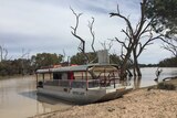 A tour boat at Lake Wetherell near Menindee.