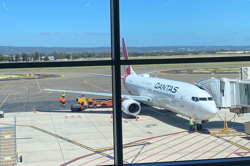 A Qantas plane carrying coronavirus vaccines on the tarmac at Adelaide Airport.
