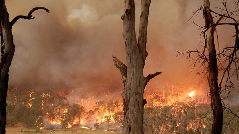 A Black Saturday bushfire covers a hillside below the house of Wade Horton at Humevale