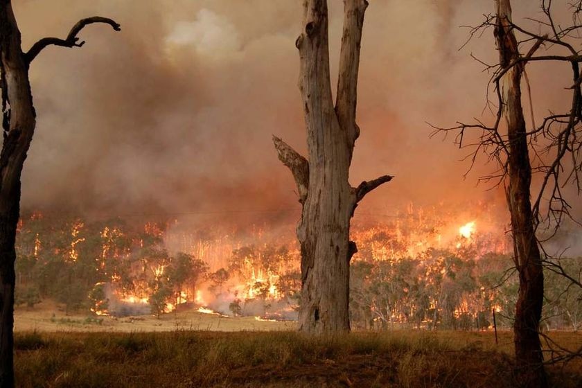 A bushfire covers a hillside at Humevale on Black Saturday.