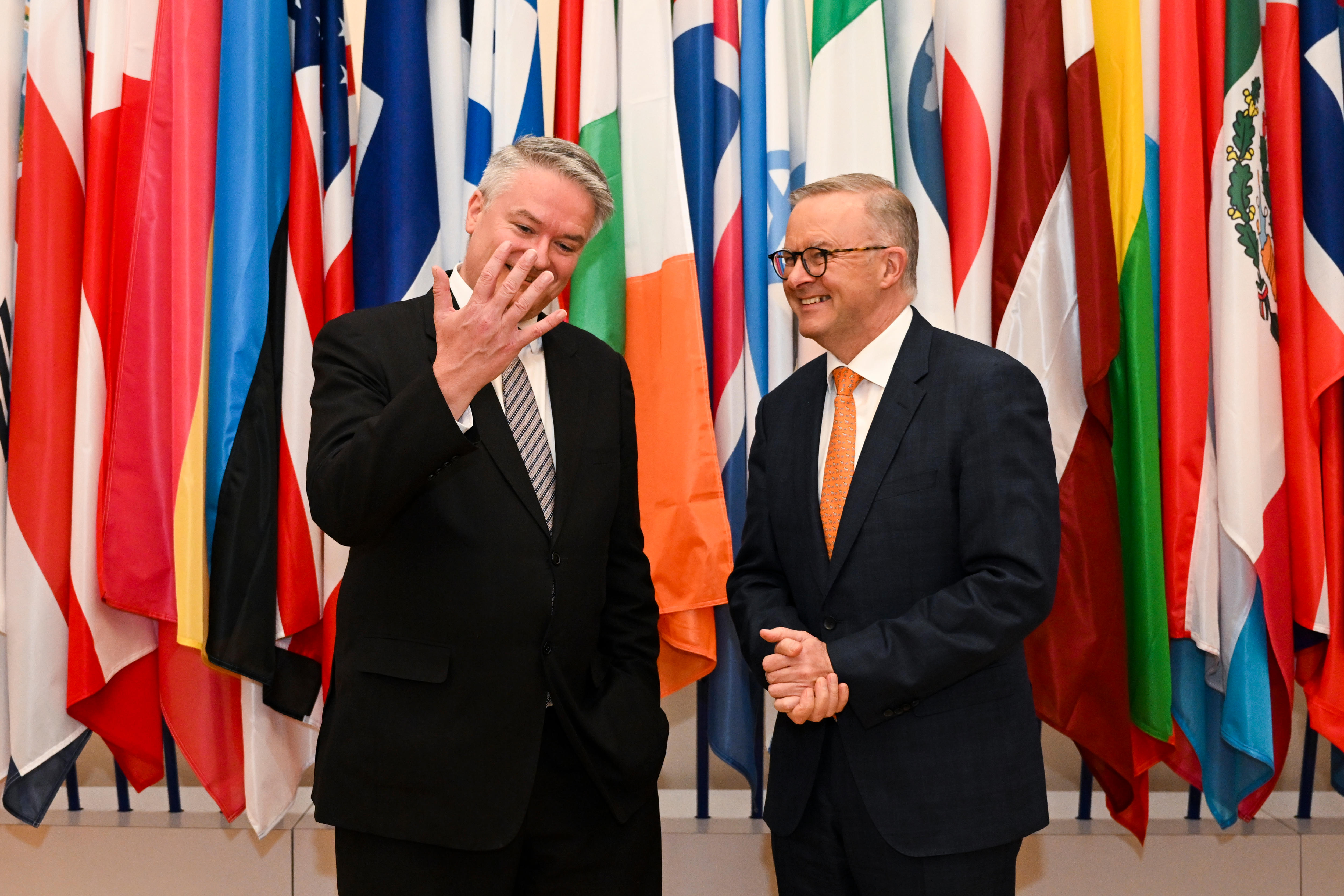 Anthony Albanese smiles next to Mathias Cormann in front of a panel of national flags. 