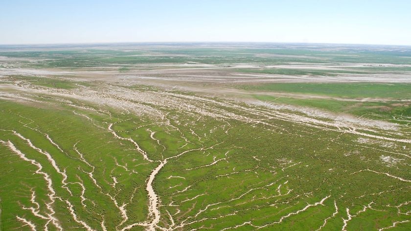 The river system south of Birdsville fans out across huge floodplains known as Goyder's Lagoon