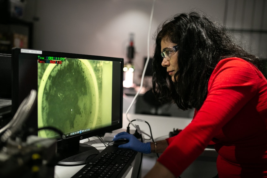 a woman in front of a computer