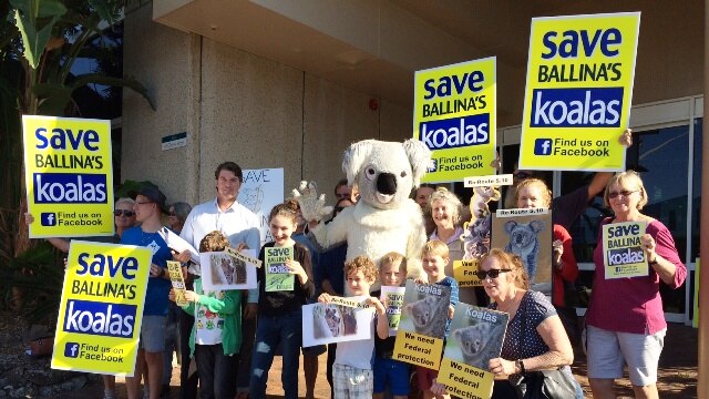 Koala campaigners at Ballina Council