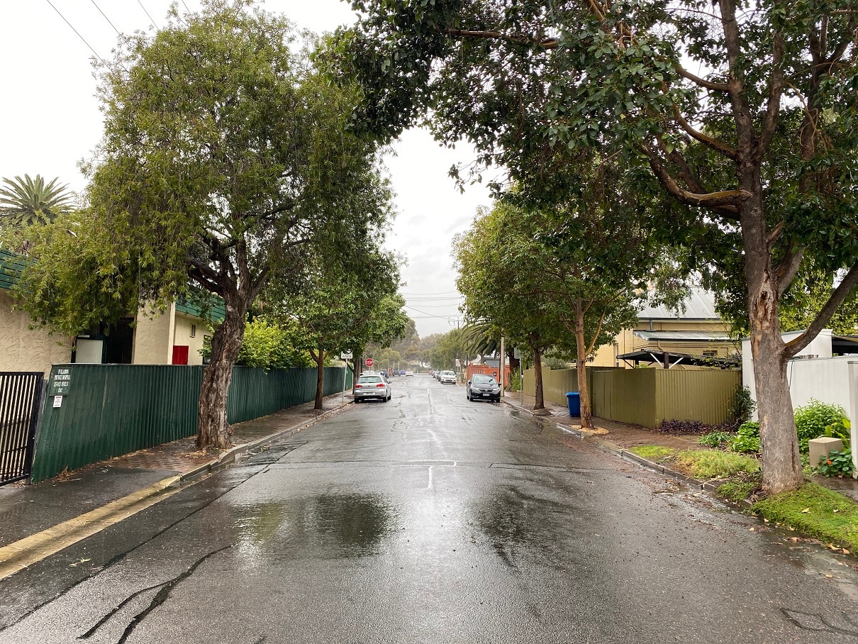 Man Allegedly Armed With Hammer Charged Over Terrifying Carjacking In Adelaide Abc News