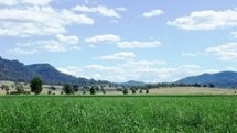 Tarwyn Park in the Bylong Valley.